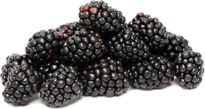 Blackberries (Side)