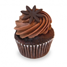 Chocolate Cupcake (Doz)
