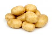 PotatoesRusset